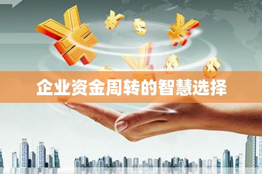 双江企业资金周转的智慧选择