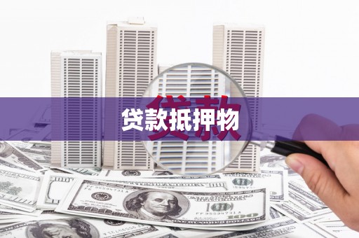 双江贷款抵押物