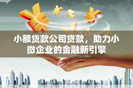 双江小额贷款公司贷款，助力小微企业的金融新引擎
