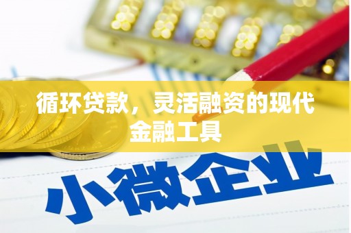 双江循环贷款，灵活融资的现代金融工具