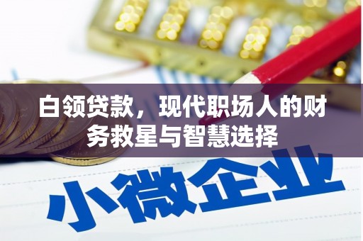 双江白领贷款，现代职场人的财务救星与智慧选择