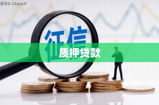 双江质押贷款