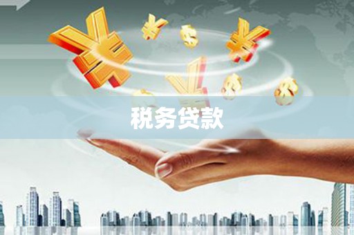 双江税务贷款