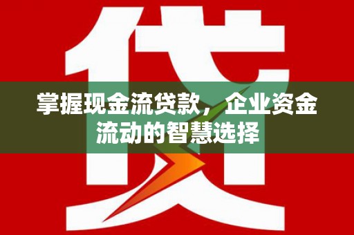 双江掌握现金流贷款，企业资金流动的智慧选择
