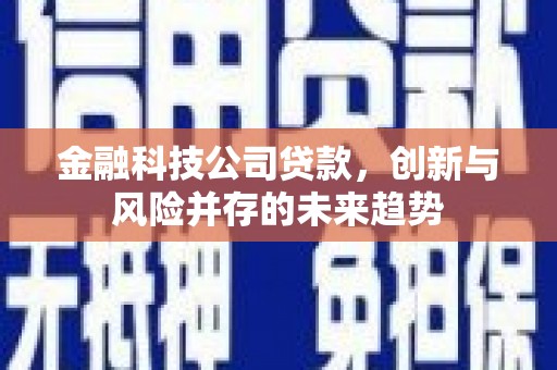双江金融科技公司贷款，创新与风险并存的未来趋势