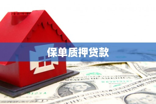 双江保单质押贷款