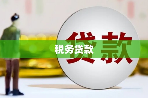 双江税务贷款