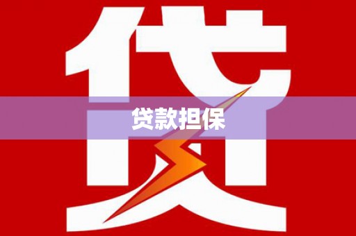 双江贷款担保