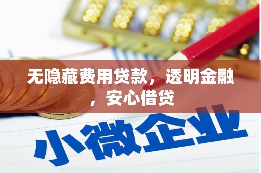 双江无隐藏费用贷款，透明金融，安心借贷