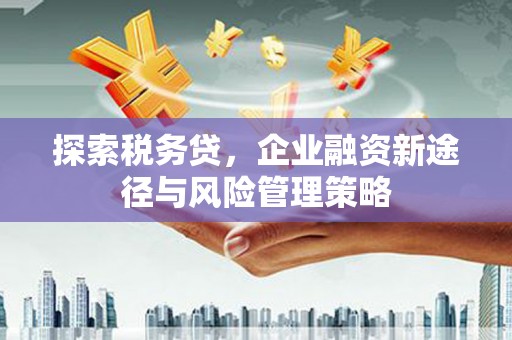 双江探索税务贷，企业融资新途径与风险管理策略