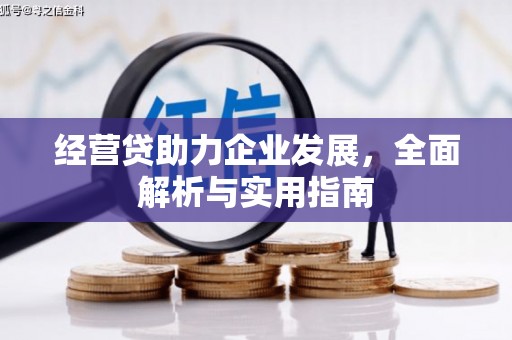 双江经营贷助力企业发展，全面解析与实用指南