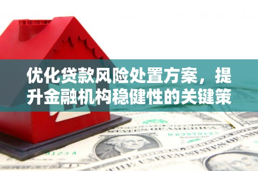 双江优化贷款风险处置方案，提升金融机构稳健性的关键策略