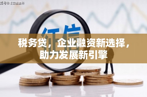 双江税务贷，企业融资新选择，助力发展新引擎