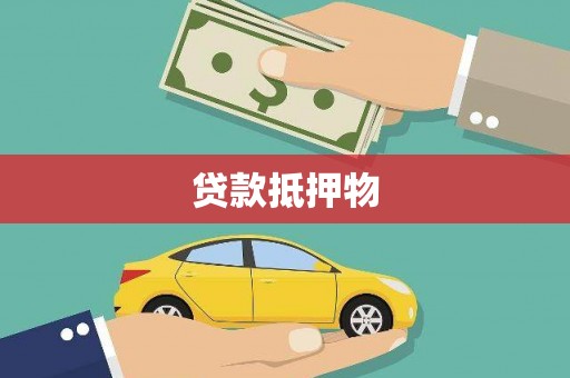 双江贷款抵押物