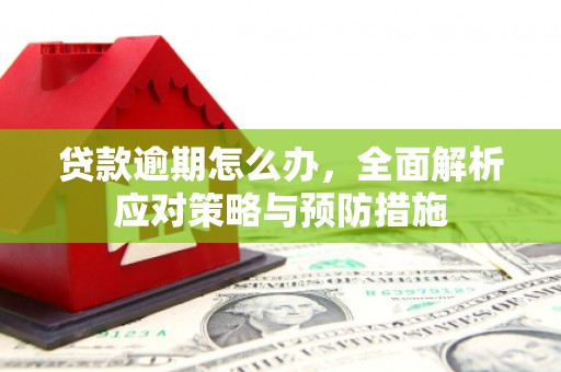 双江贷款逾期怎么办，全面解析应对策略与预防措施