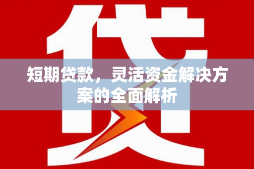 双江短期贷款，灵活资金解决方案的全面解析