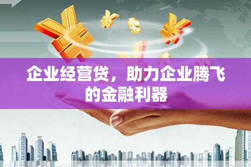 双江企业经营贷，助力企业腾飞的金融利器
