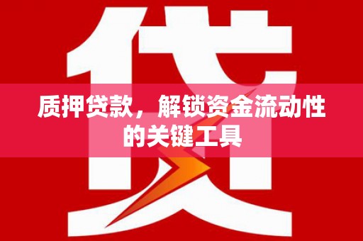 双江质押贷款，解锁资金流动性的关键工具