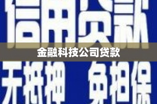双江金融科技公司贷款