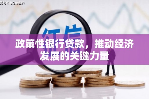 双江政策性银行贷款，推动经济发展的关键力量