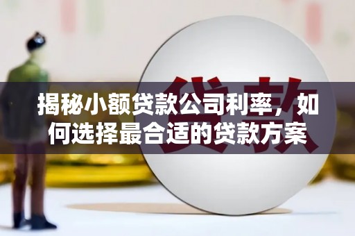 双江揭秘小额贷款公司利率，如何选择最合适的贷款方案