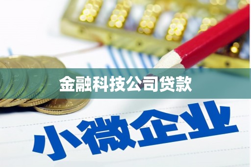 双江金融科技公司贷款