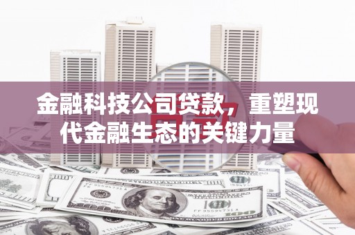 双江金融科技公司贷款，重塑现代金融生态的关键力量