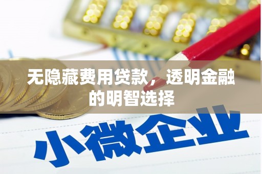 双江无隐藏费用贷款，透明金融的明智选择