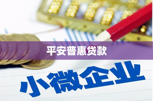 双江平安普惠贷款