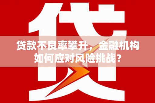 双江贷款不良率攀升，金融机构如何应对风险挑战？