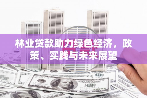 双江林业贷款助力绿色经济，政策、实践与未来展望