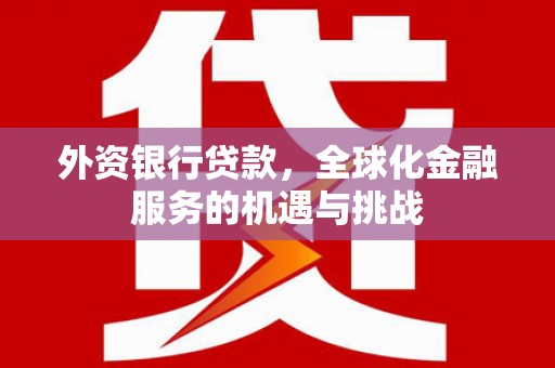 双江外资银行贷款，全球化金融服务的机遇与挑战