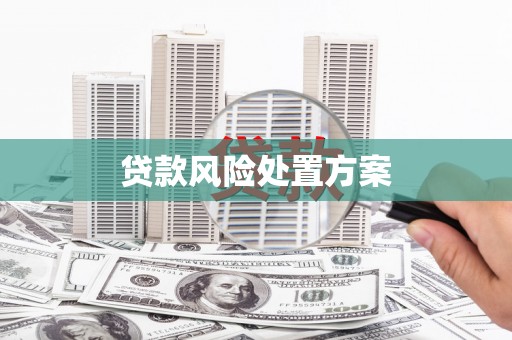 双江贷款风险处置方案