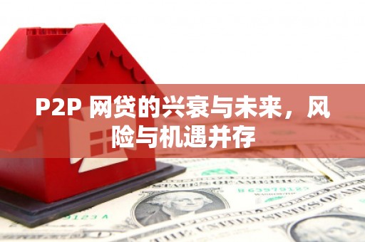 双江P2P 网贷的兴衰与未来，风险与机遇并存